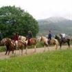 caballos niebla