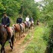 caballos senderos