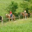 caballos en ruta