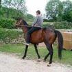 caballo