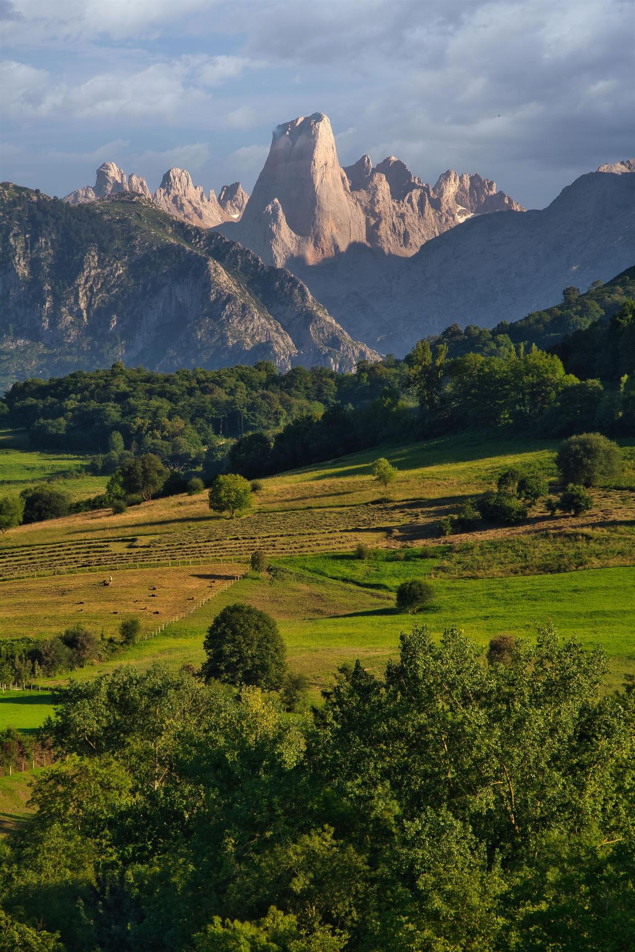 Naranjo de bulnes